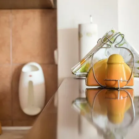 Apartment-center Of Appartement